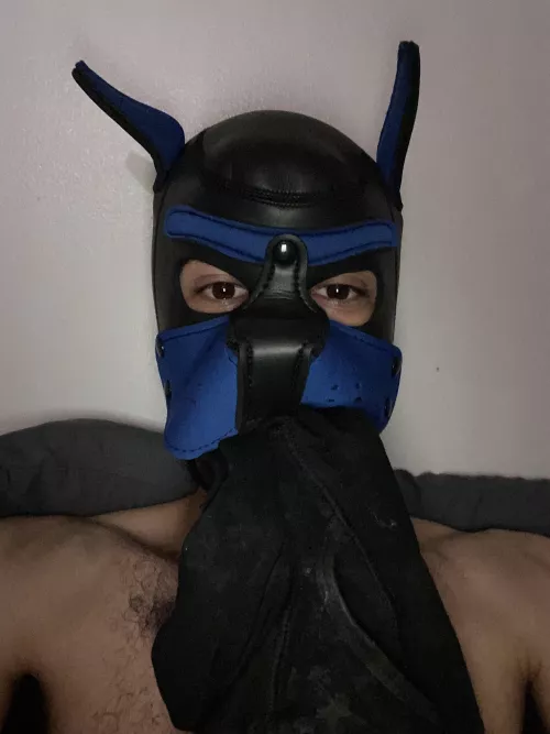 I sniffed out some underwear awroooo