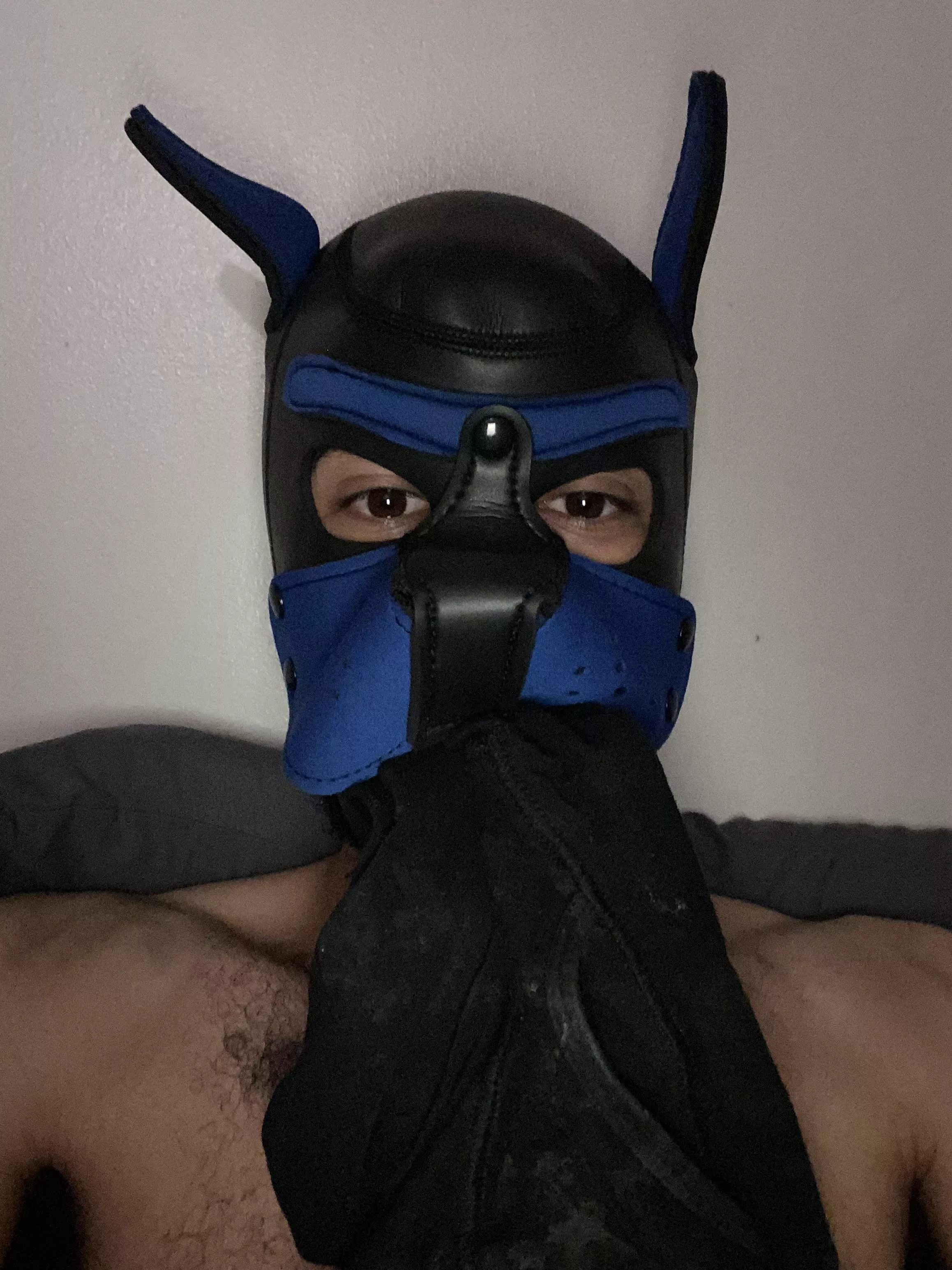 I sniffed out some underwear awroooo