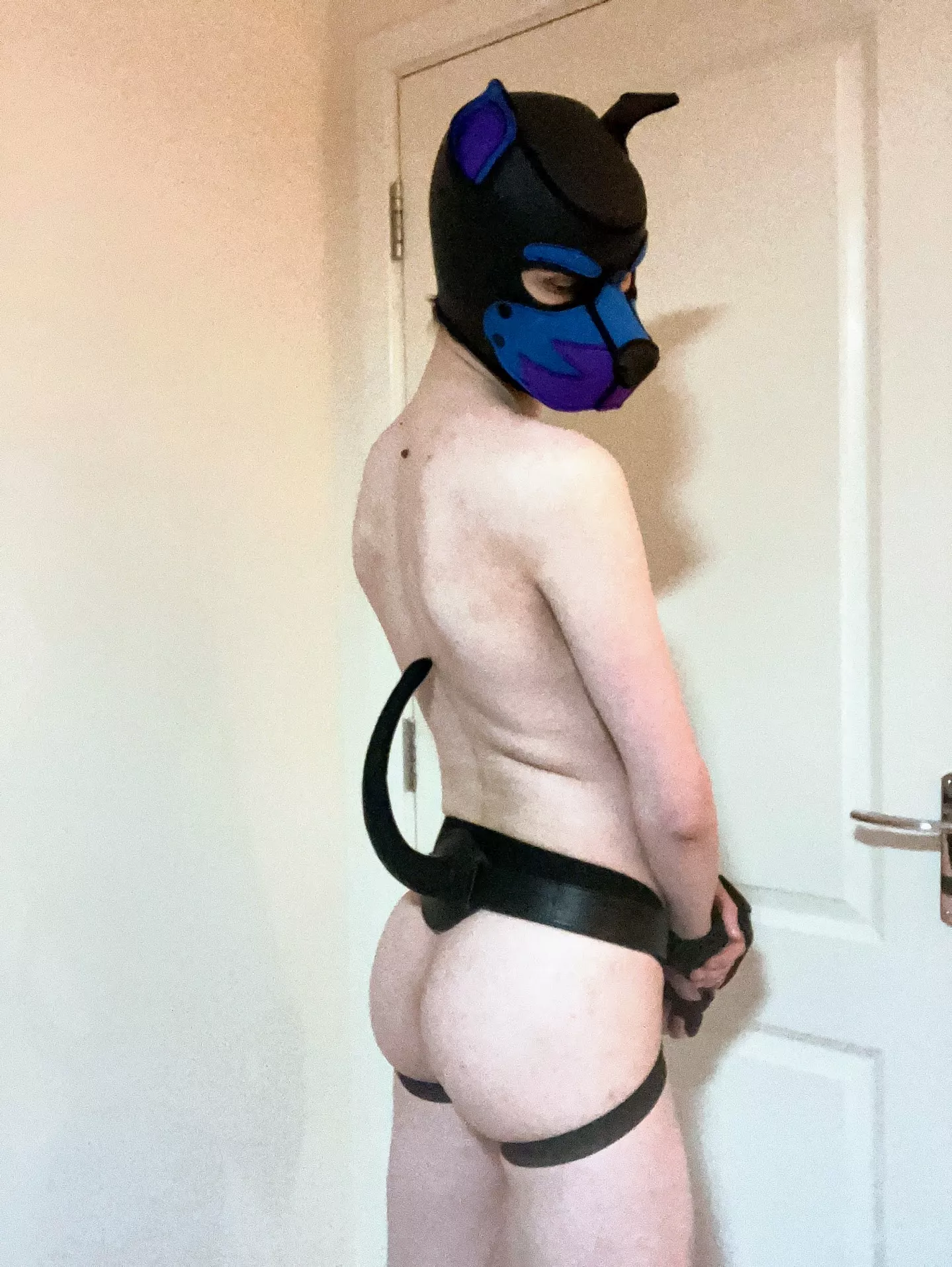 It's humpday for this pup, so you'd better get to work!