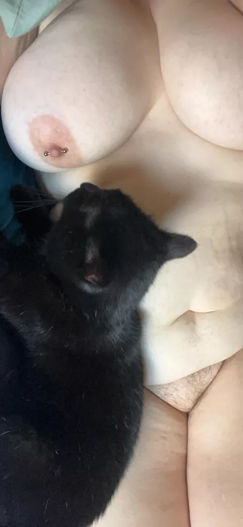 Kitty says stay in bed