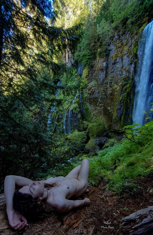 Log decaying into soil; one of the many reminders of the beauty of the cycle of death and rebirth💫