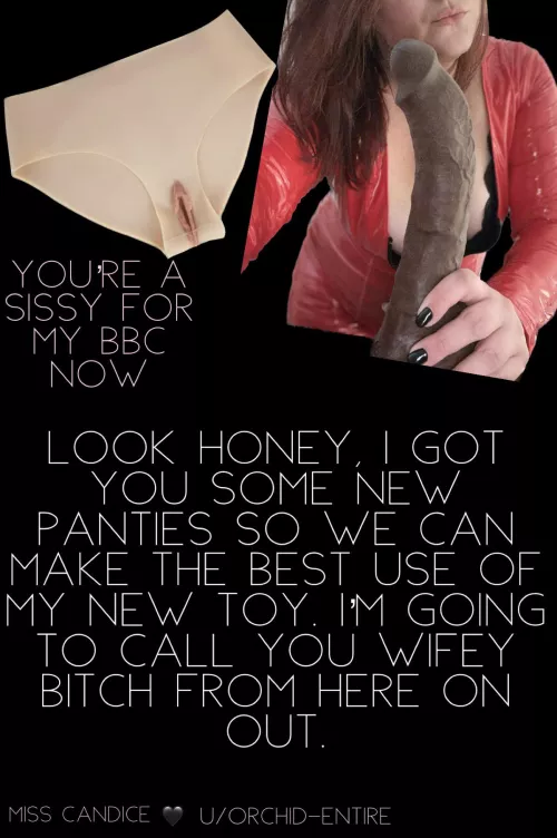 Looks like you’re the wife now 😏