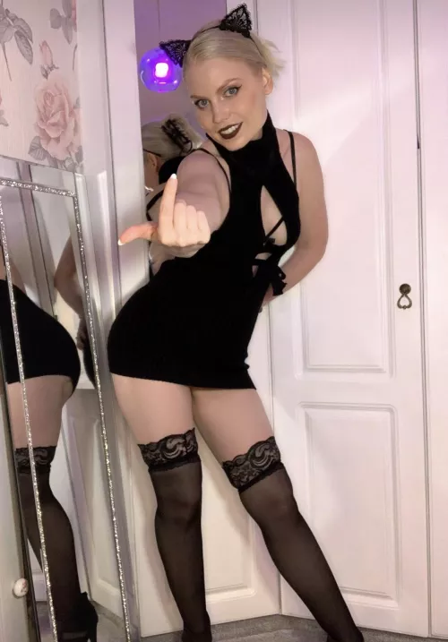 Mommy Kitty wants you to come here !