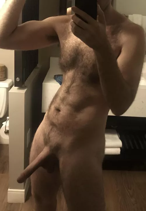 My date said horses are hung like me