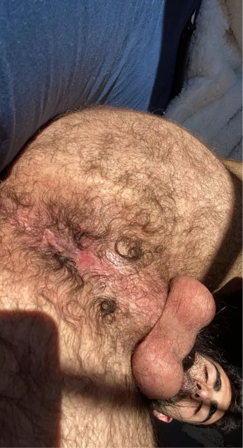 My hairy ass for you