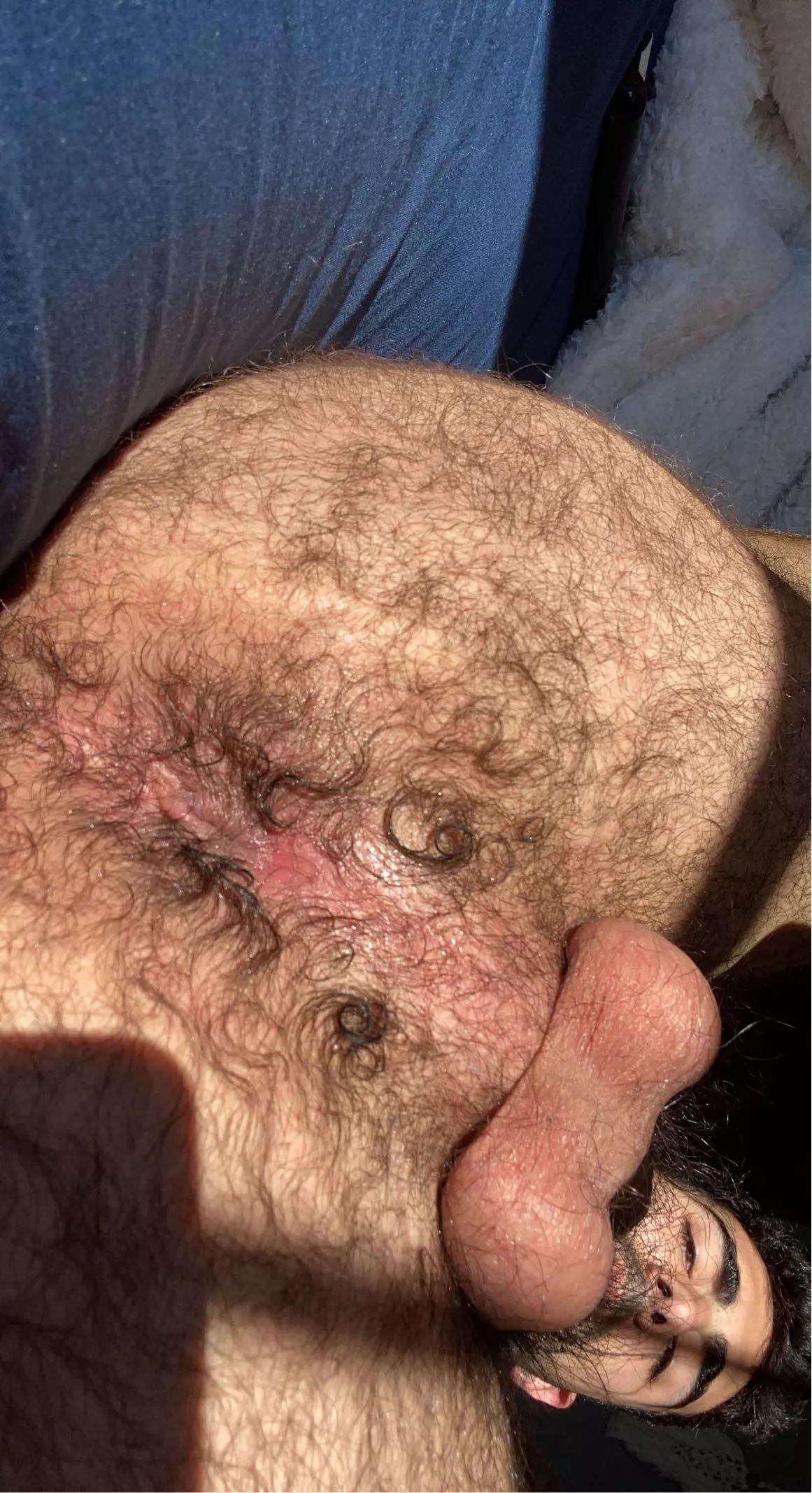 My hairy ass for you