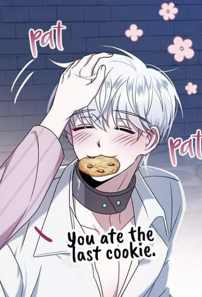 My my my, just look at how well behaved and obedient you are. I love it when I feed you snacks and you're looking cute just like that and feeling so happy. Good boy!