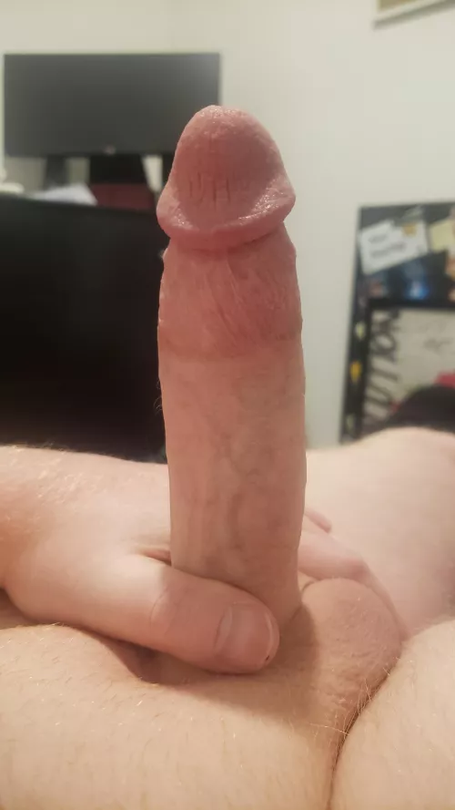 Snow days are for fun