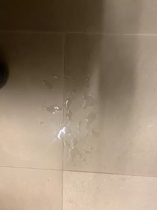 The results from todays adventure