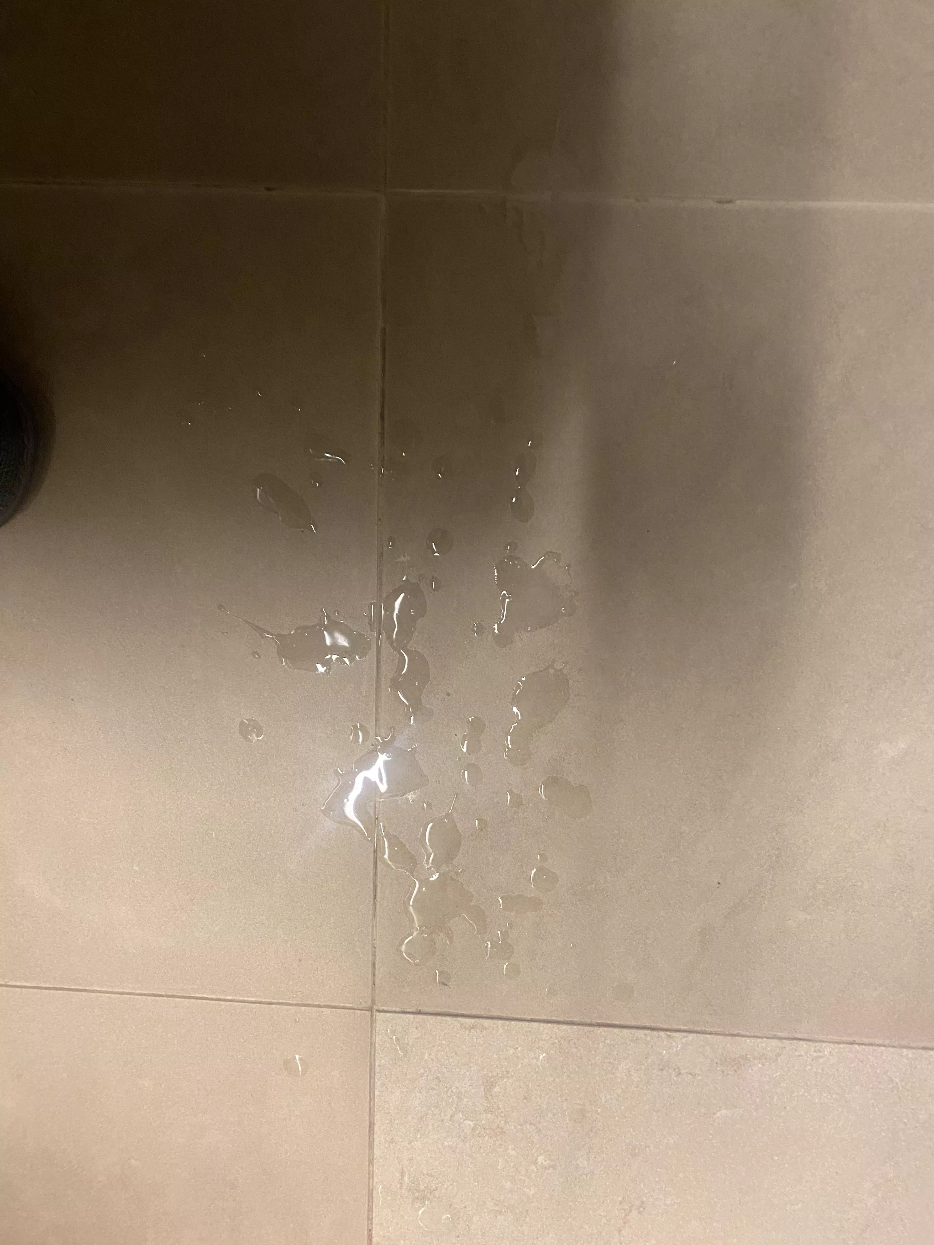 The results from todays adventure