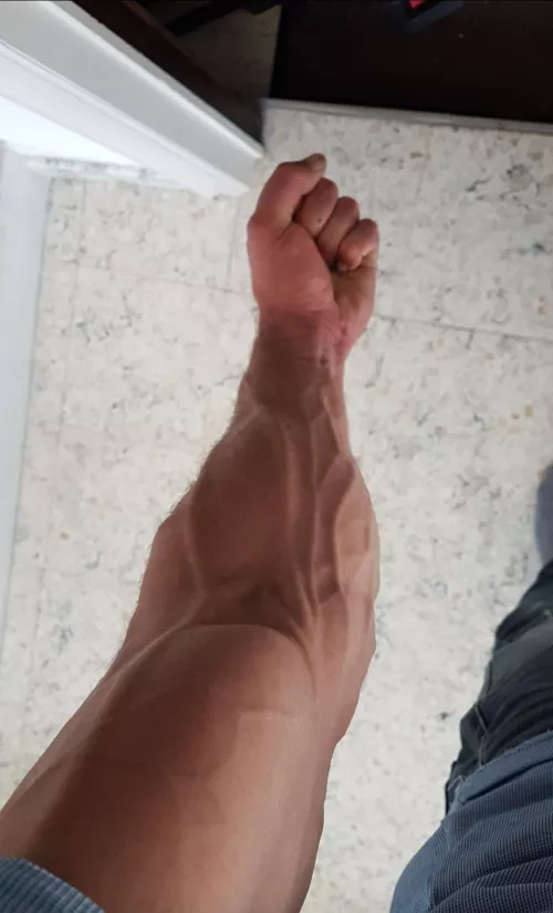 who likes veins ? (after workout)