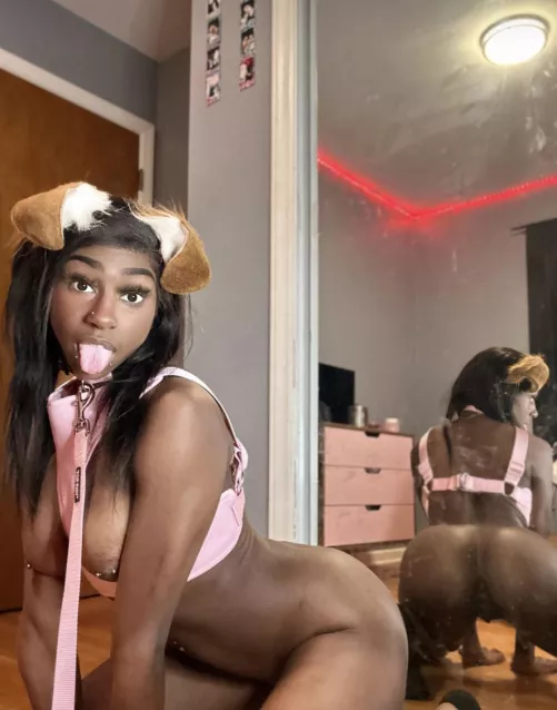 Who wants to take me on a walk?