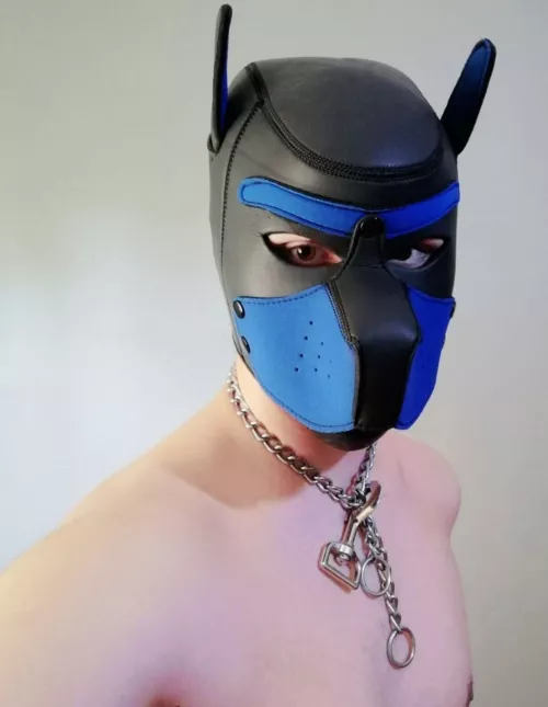 Would any pups appreciate if i did a watersport post?