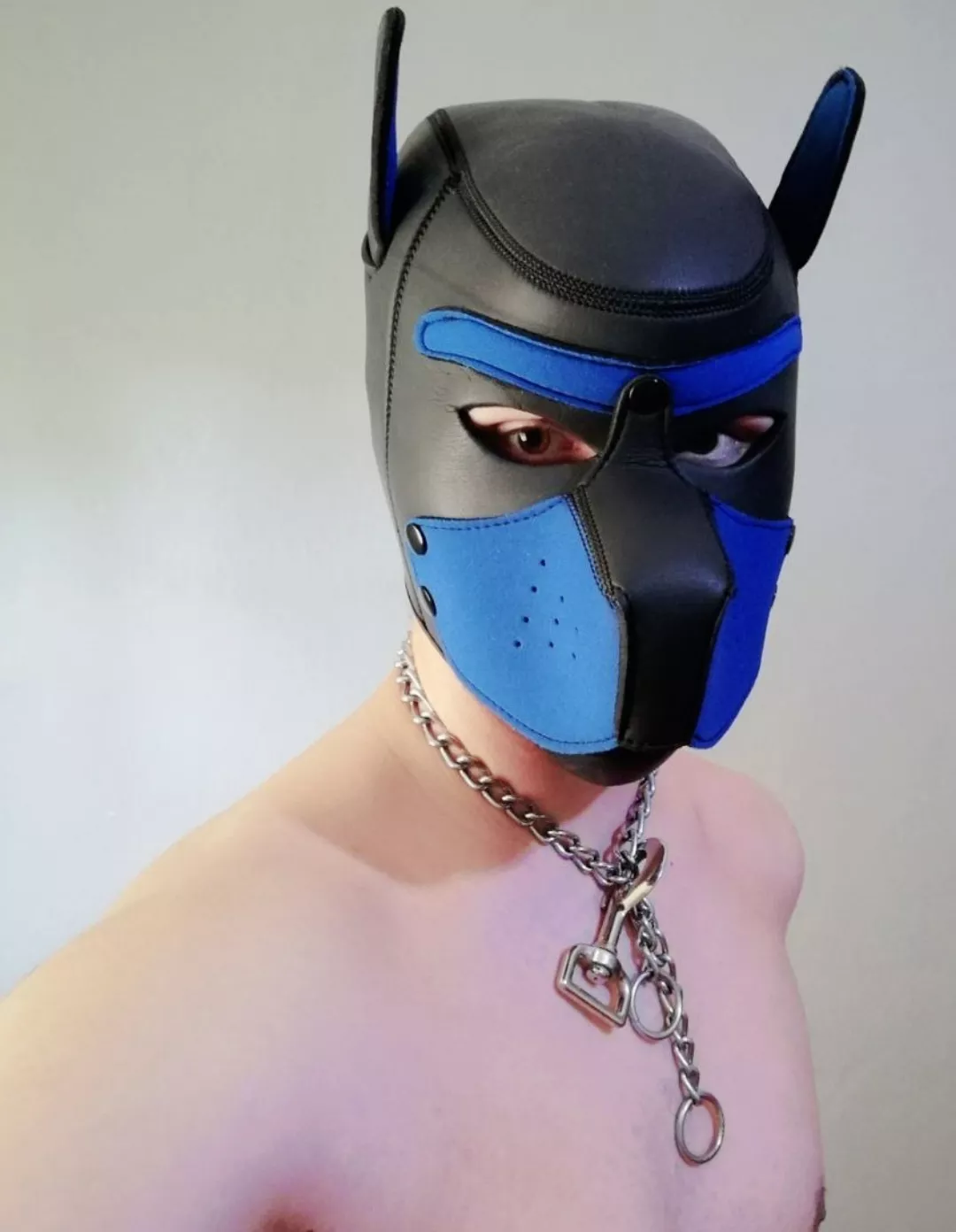 Would any pups appreciate if i did a watersport post?