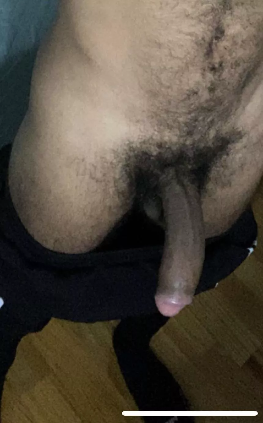 Would you have some fun with it?