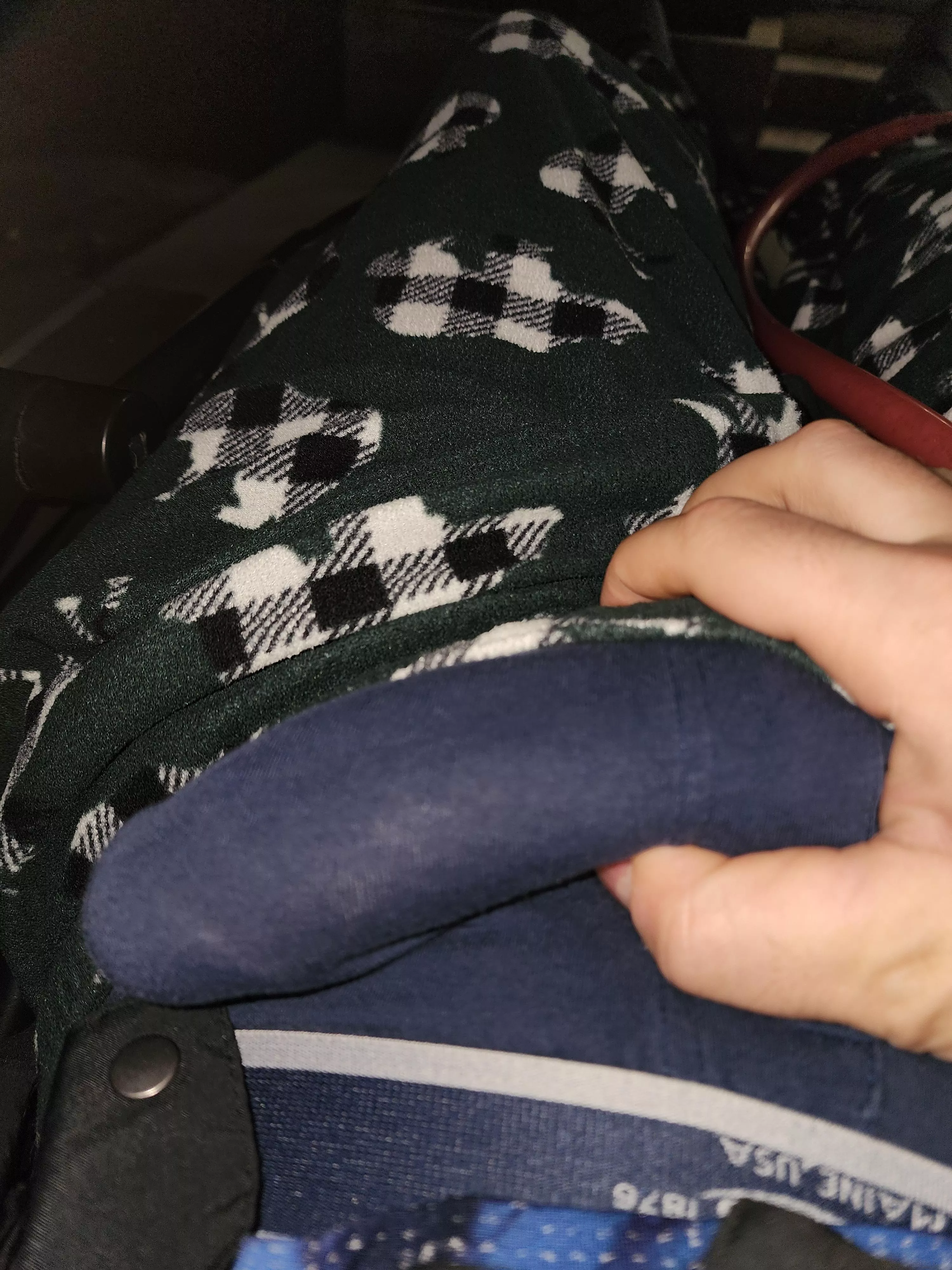 29 Hope he's big enough for you. Feel free to say Hi!