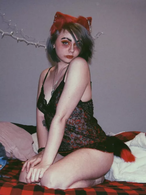 a wild red fox appeared! 🦊🍁