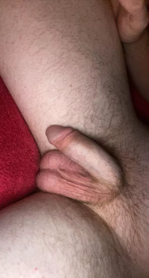 Anyone wanna be the first to suck these balls?