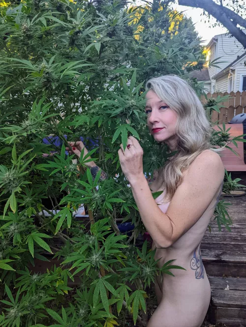 Can I help you grow something?