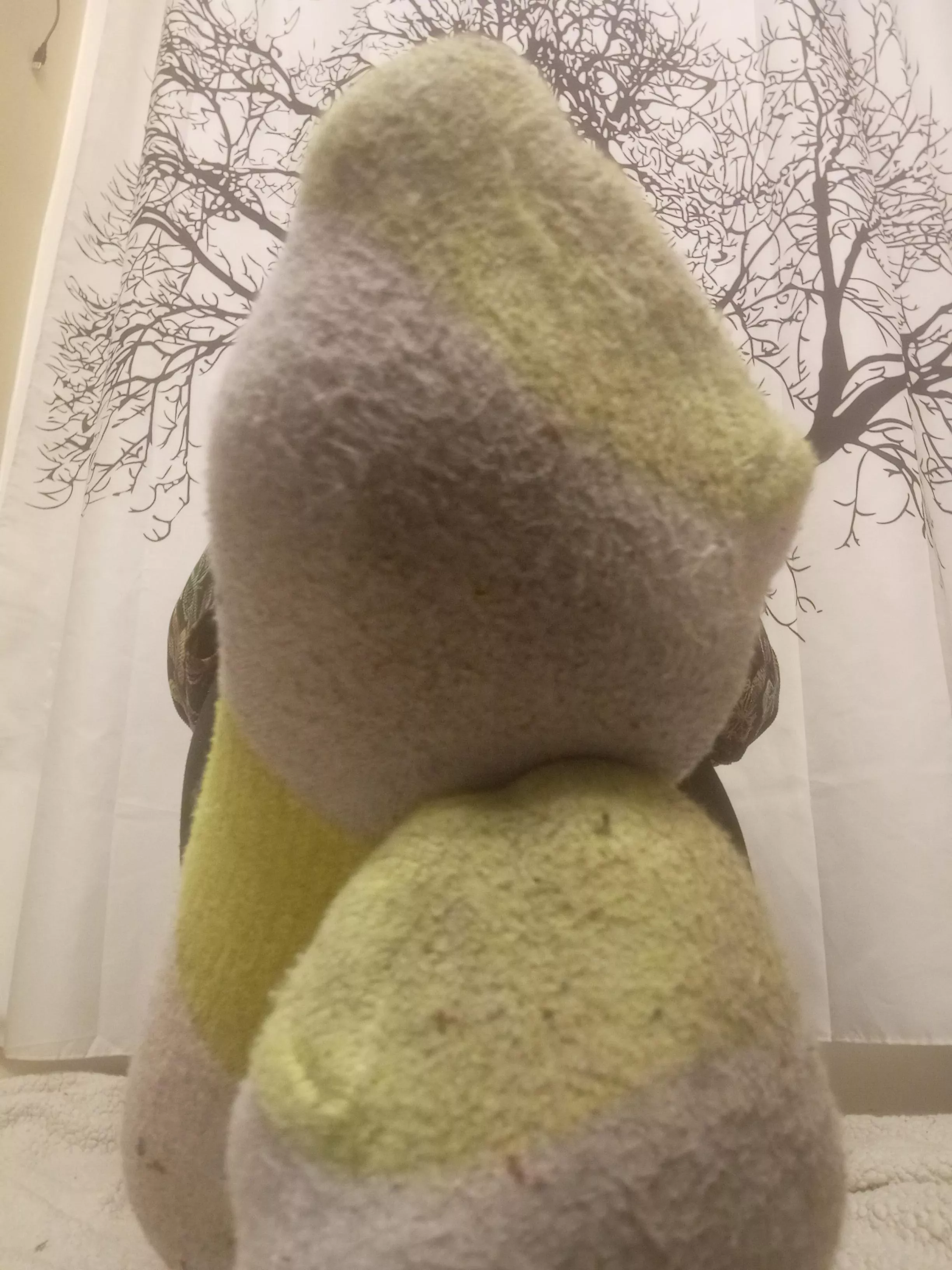 Day two! Imagine how great they smell! DM me to claim them!