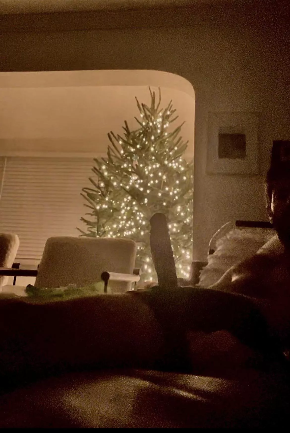 Does cock silhouette count as a cock outline?