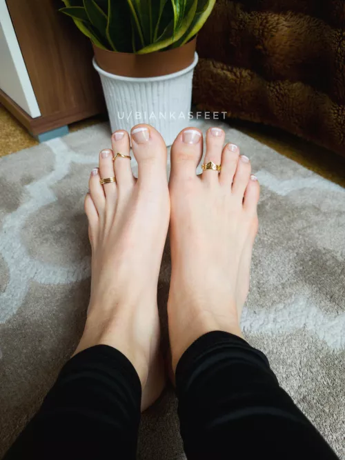 Good morning! I'm done accessorizing for the day