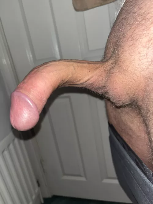 How’s my curve?