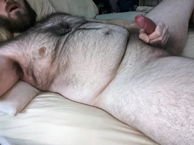 Looking for some fur-loving friends.