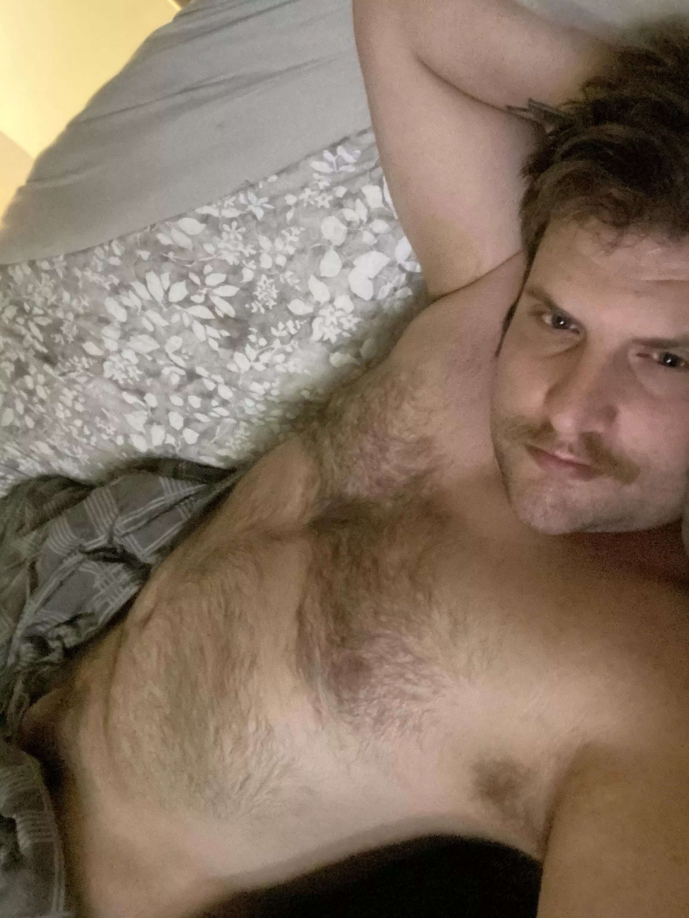 Lost my profile let’s give this whole bear thing another shot