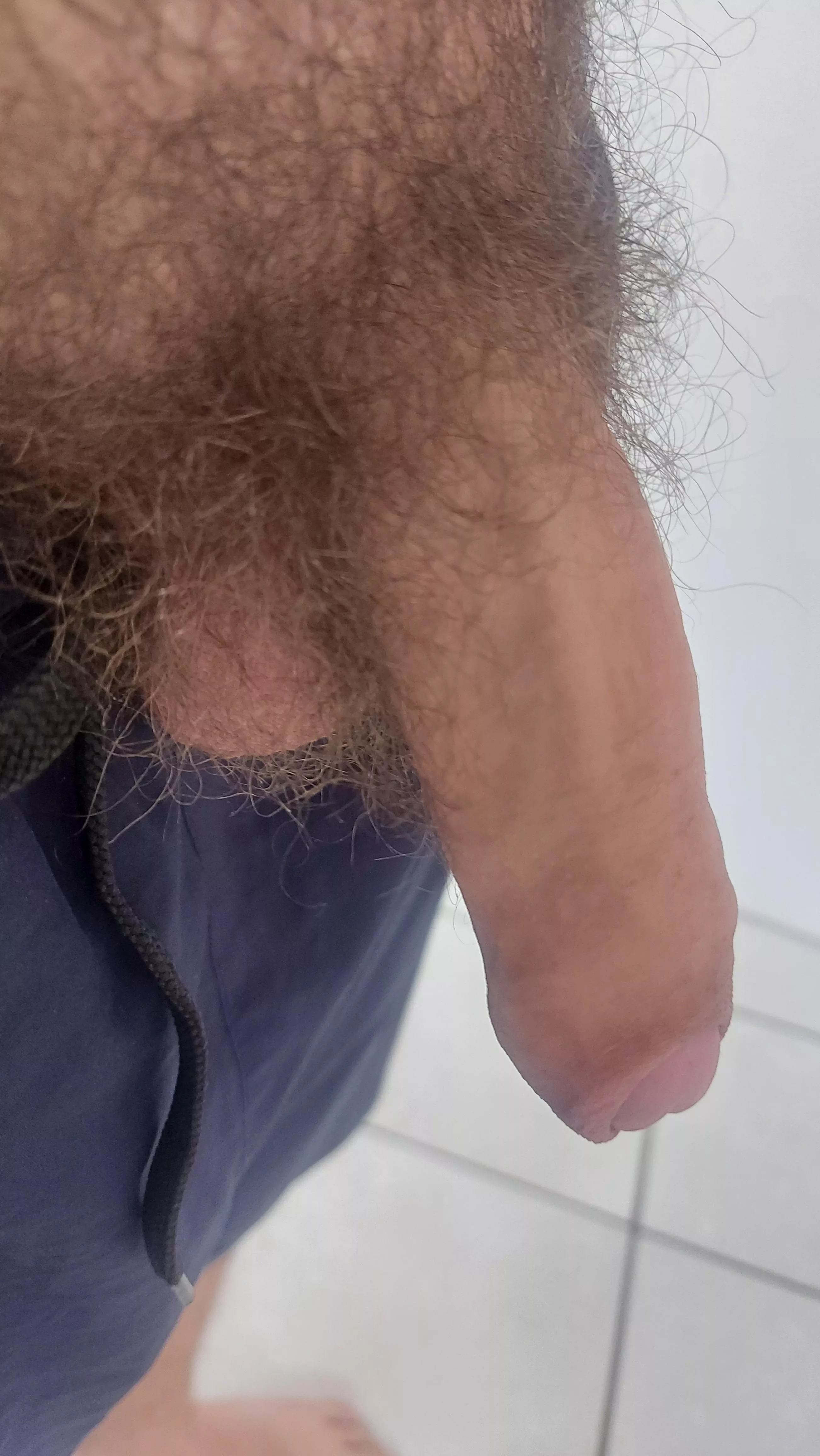 Morning cock. Dm's open