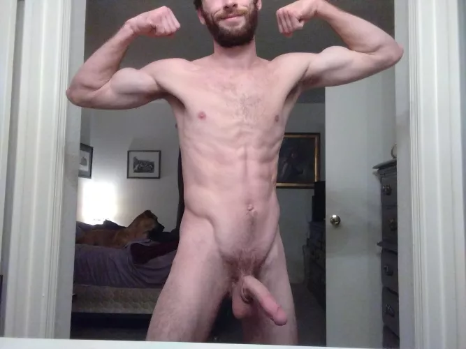 My dog is ashamed of me lol