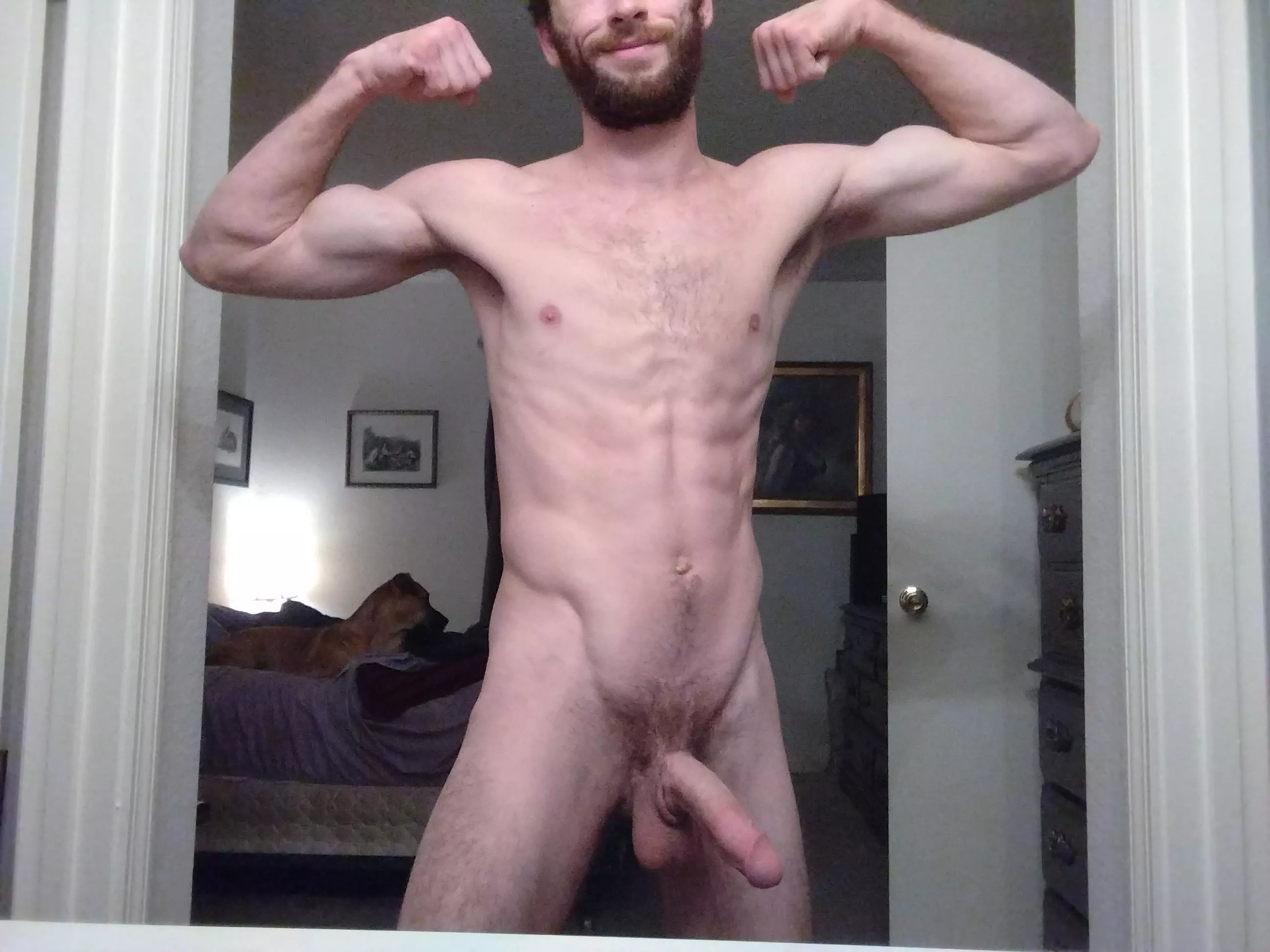 My dog is ashamed of me lol