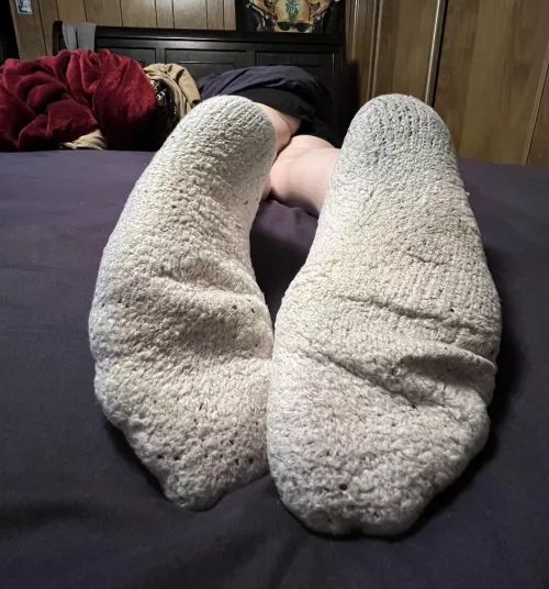 My not so white not so fuzzy socks. 😁😁
