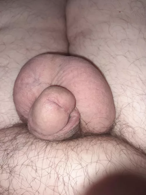 My small cock