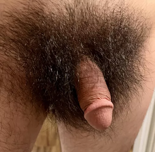 No Shave November was easy