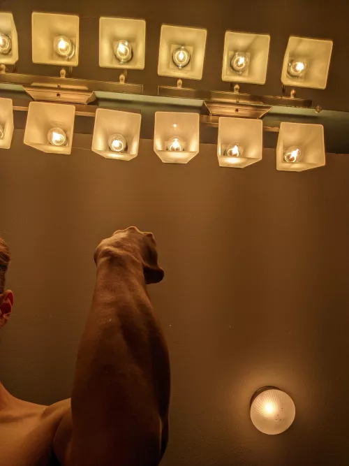 please feel my forearm