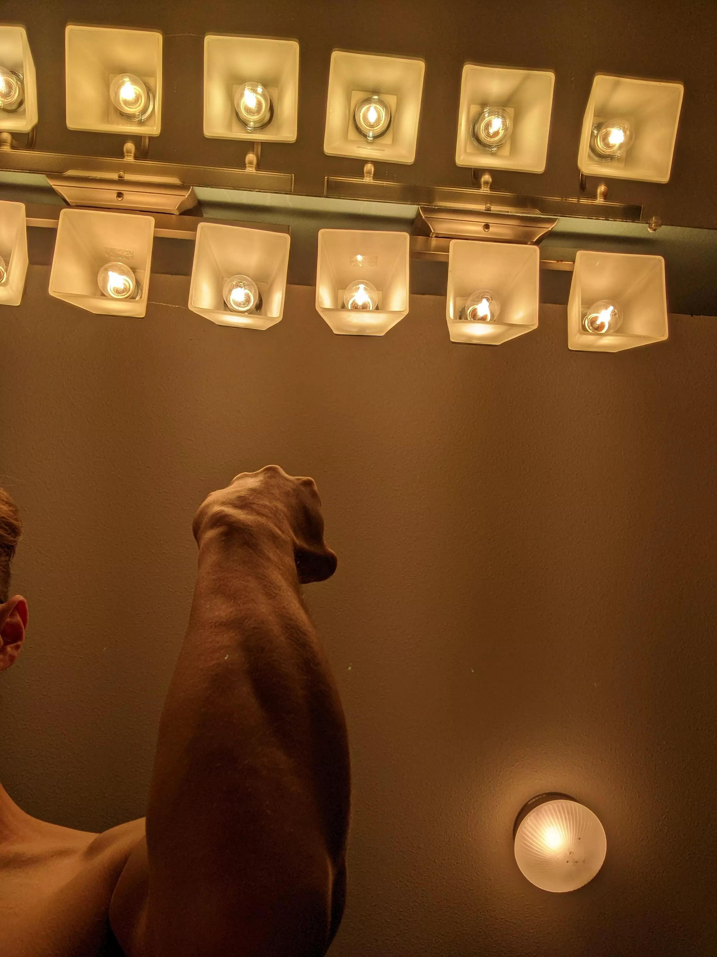 please feel my forearm