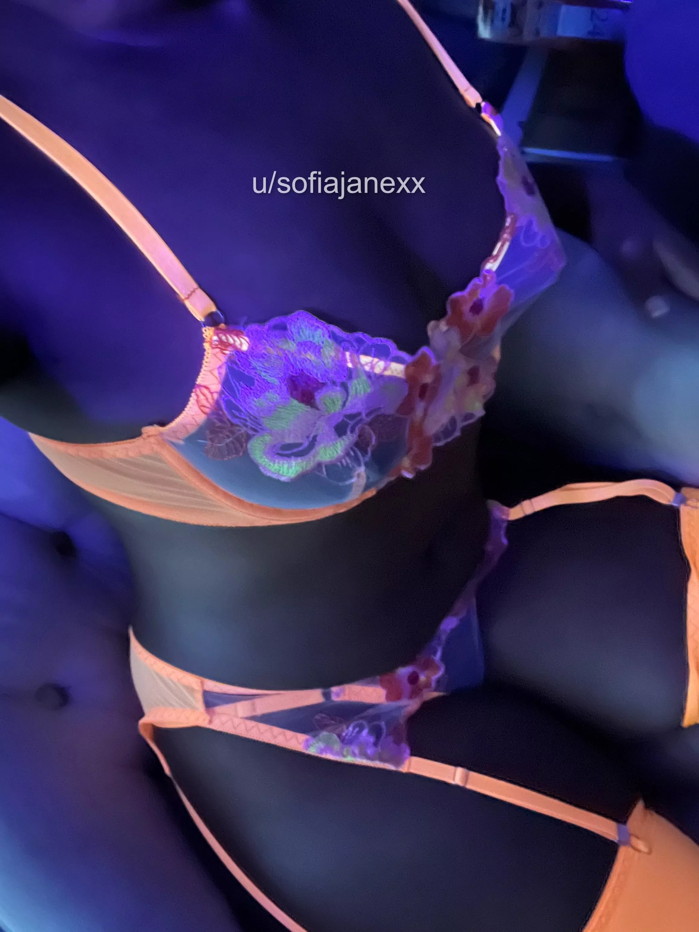 POV: Your Dream Girl