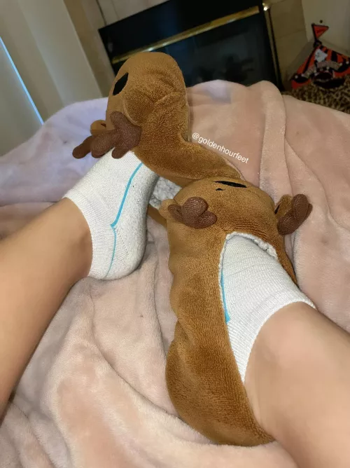 Socks & slippers💖