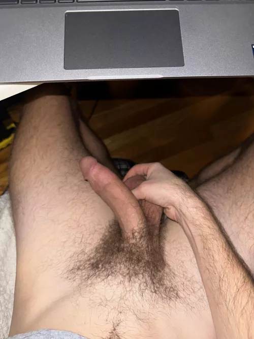 Suck my cock while I’m in my zoom meeting?