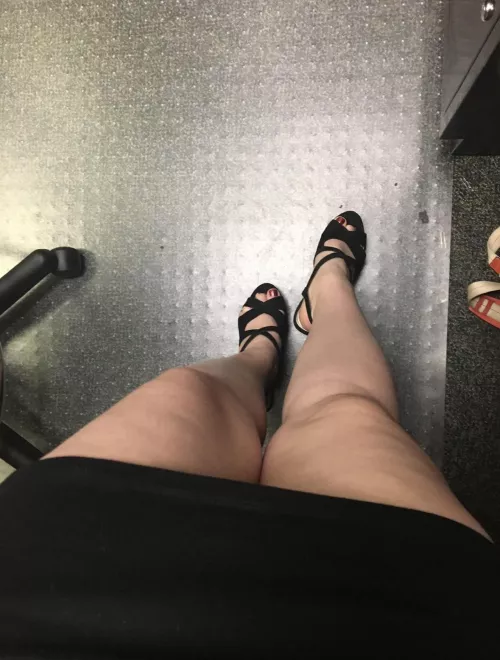 The view from behind the counter