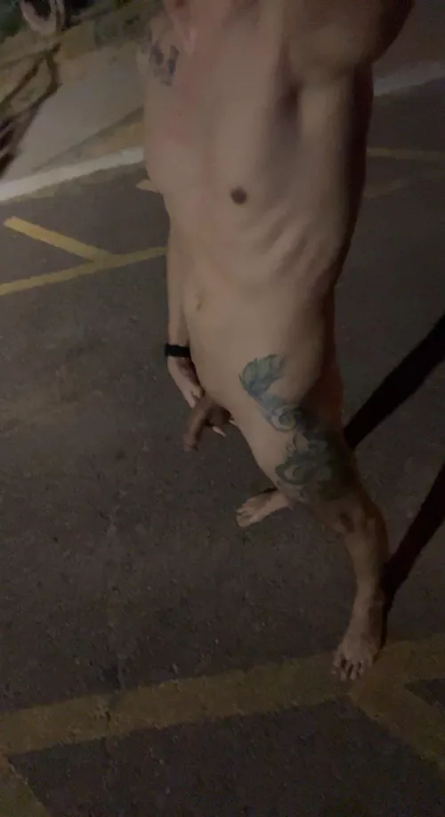 Thinking of walking across a bridge over a freeway naked tonight. Thoughts?