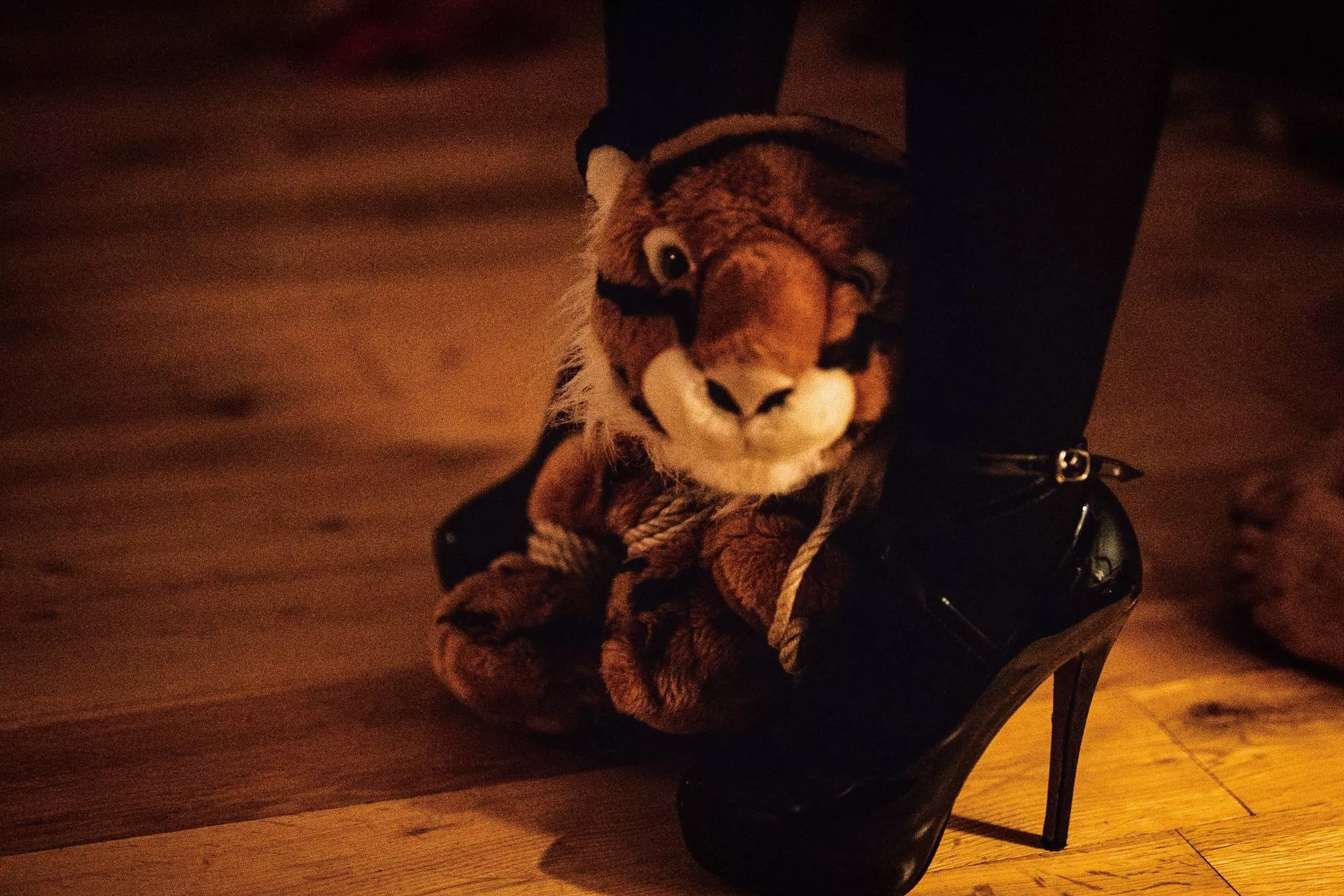 Tiger's first sex party... (he had a great time!)