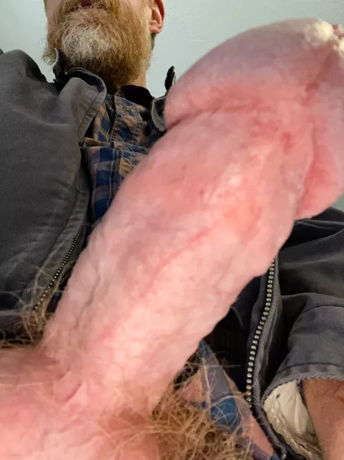 Up Close and Personal