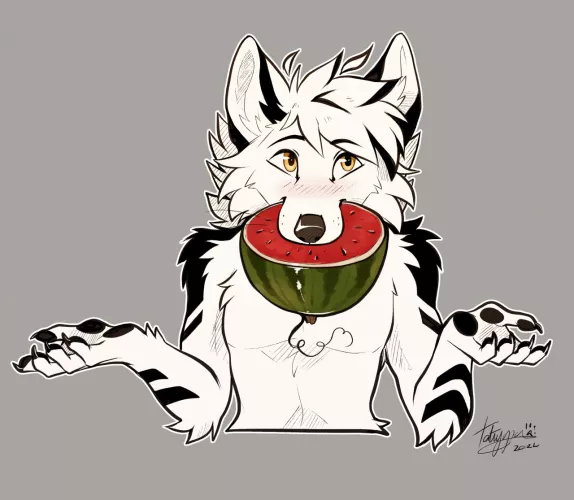 Wolf Watermelon [Tatujapa]