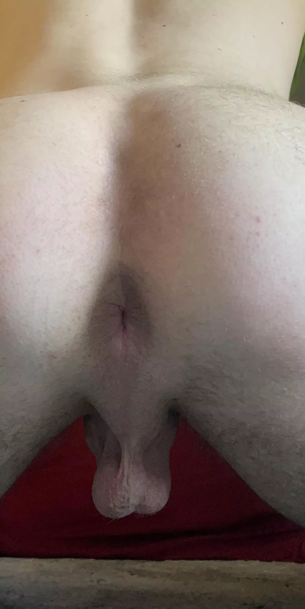 Your view as I sit on your face