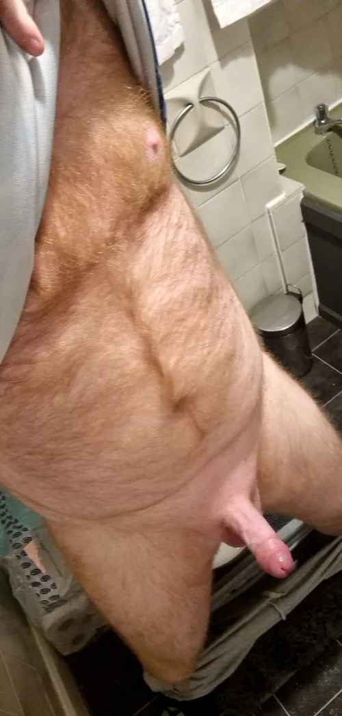 (32) Hard, hairy & horny daddy just waiting for a boy to come along and give me a place to bury this dick!!