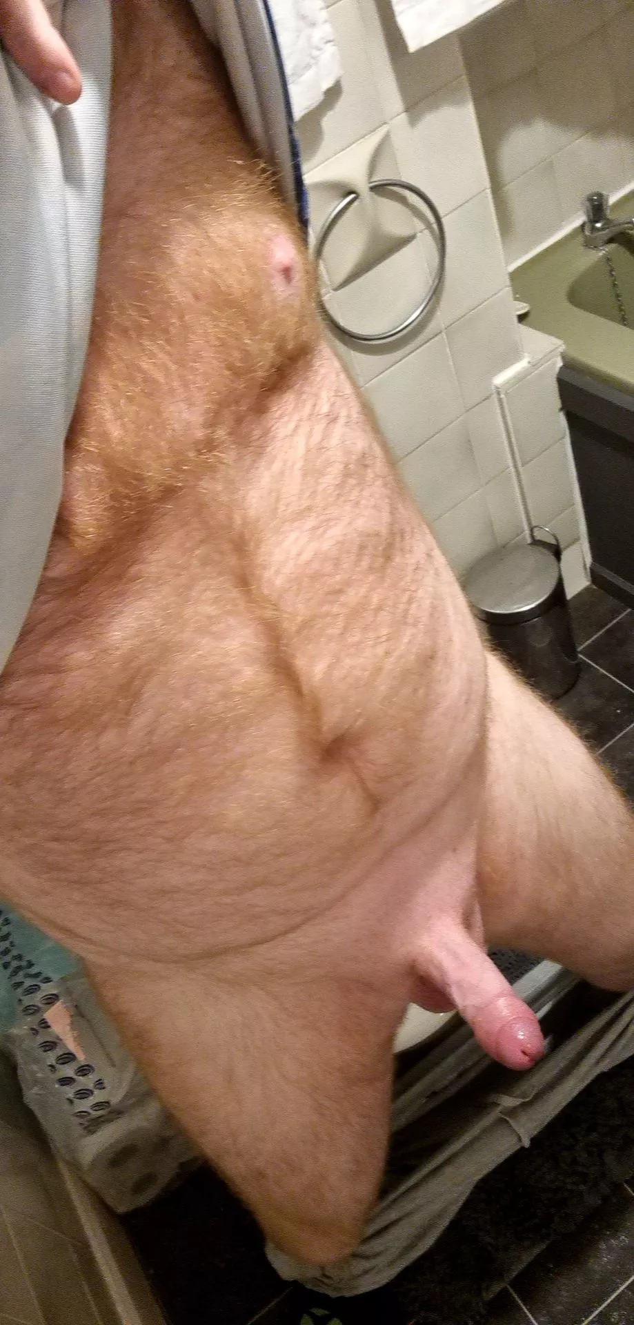 (32) Hard, hairy & horny daddy just waiting for a boy to come along and give me a place to bury this dick!!