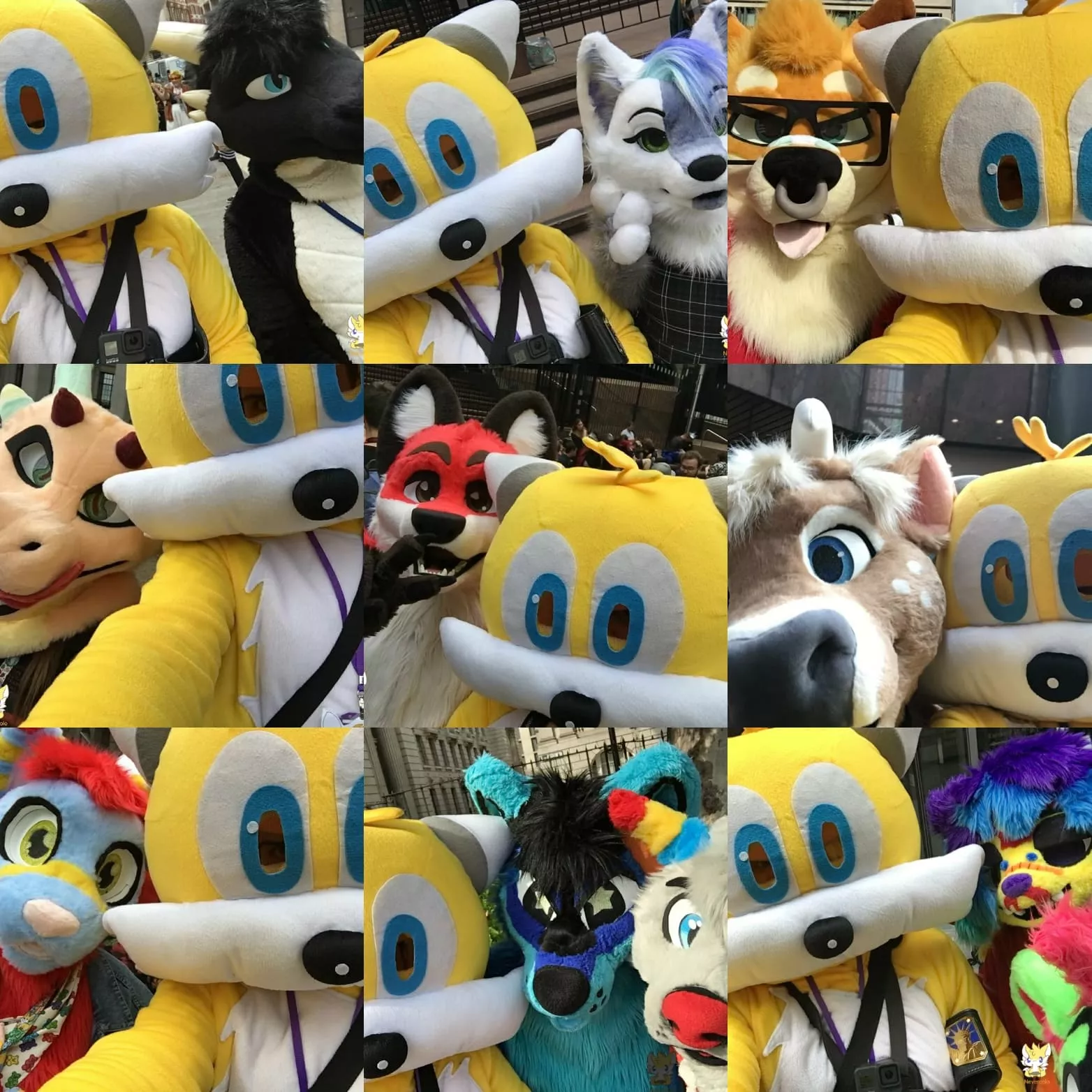 A little good luck message of Furries attending Midwest Furfest and all the bizarre things you tend to see there.