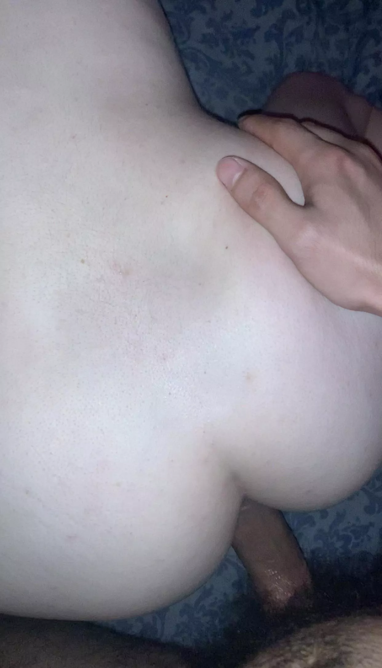 Anyone know how to get an account unbanned/ a response from support I’m a model